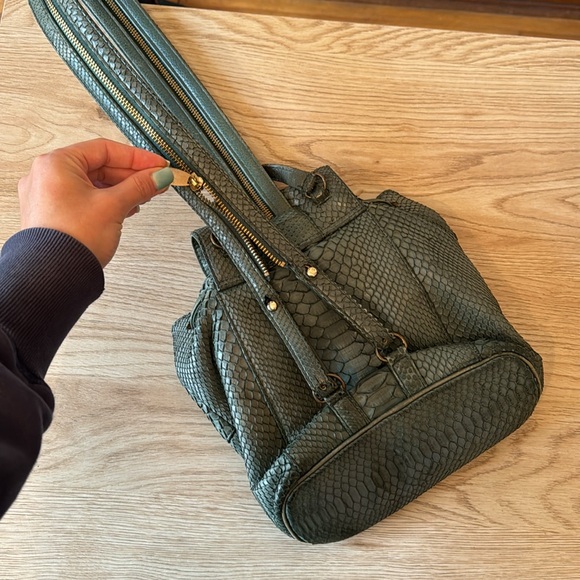 Real python snake 100% almost new - Picture 9 of 10